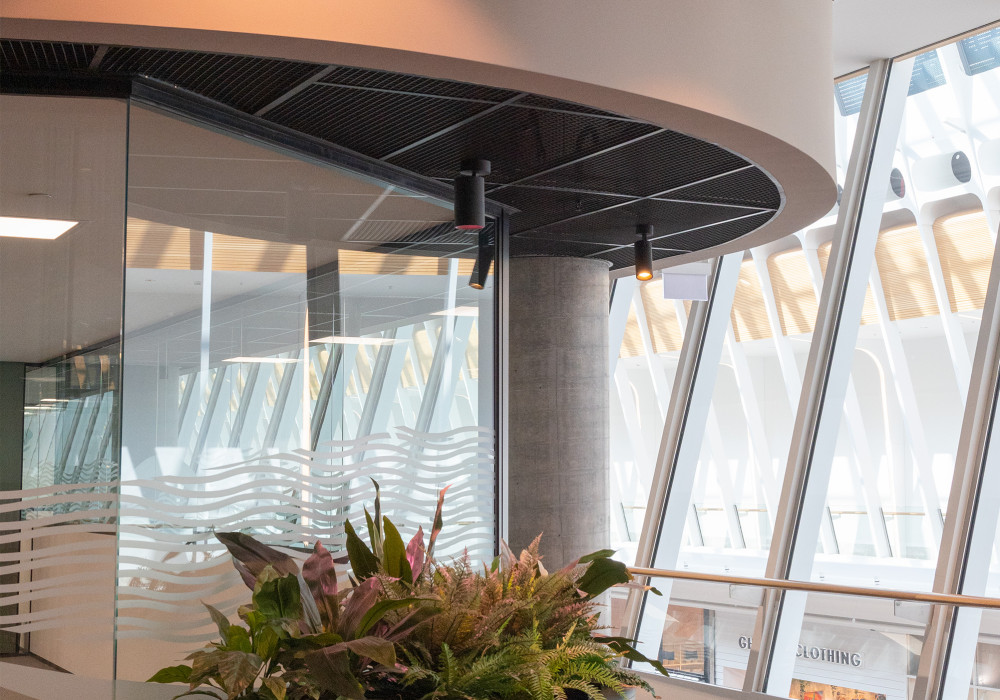 Curves Ahead: How Studco Supports the Rise of Curved Design in Commercial Architecture