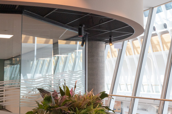 Curves Ahead: How Studco Supports the Rise of Curved Design in Commercial Architecture
