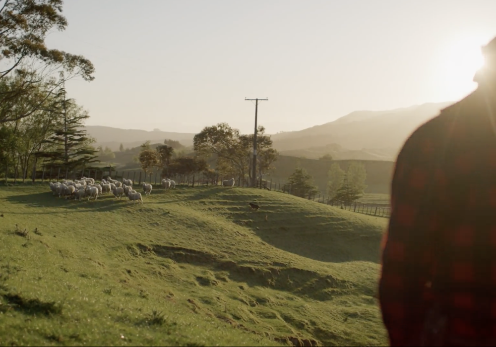 Floc Signals Major Step Forward in New Zealand’s Wool Innovation