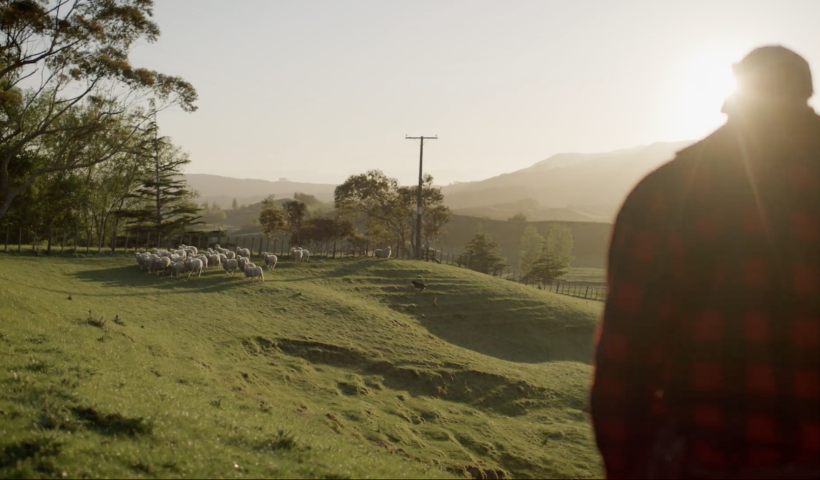 Floc Signals Major Step Forward in New Zealand’s Wool Innovation