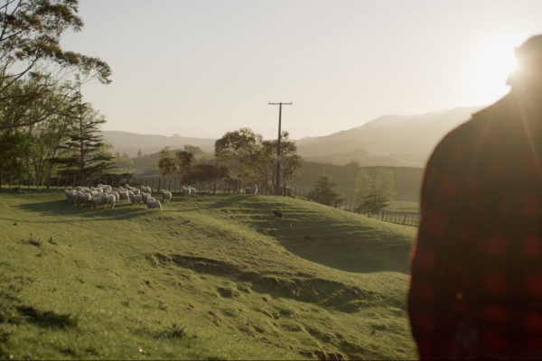 Floc Signals Major Step Forward in New Zealand’s Wool Innovation
