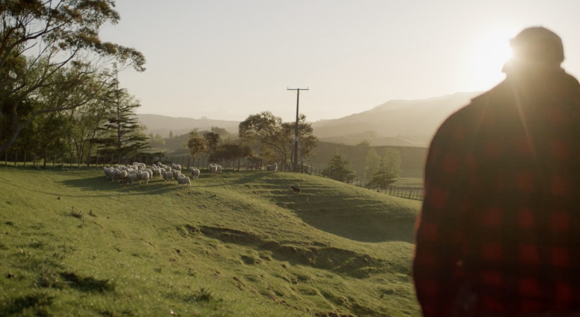 Floc Signals Major Step Forward in New Zealand’s Wool Innovation