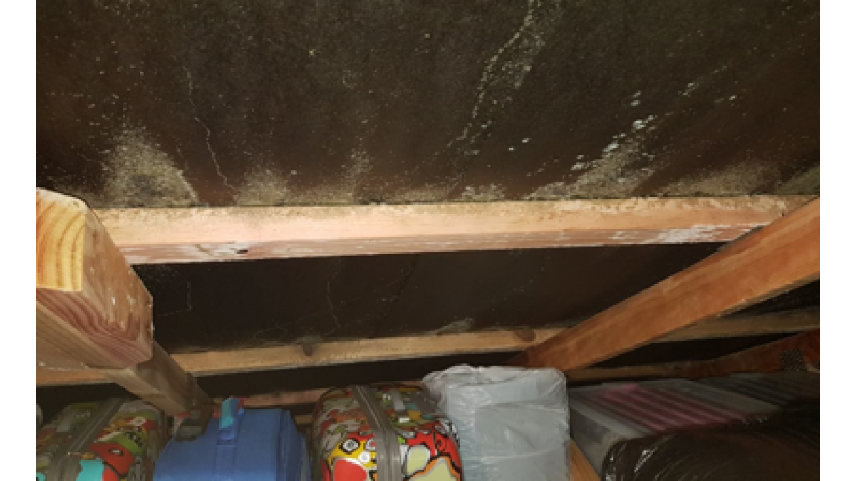 Mould growth.