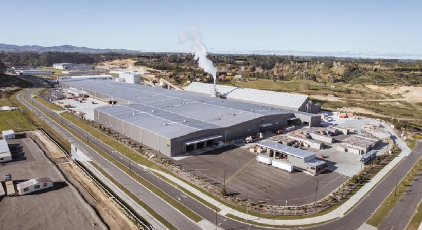Designing for Safety: The Blueprint Behind Winstone Wallboards’ New Tauranga Facility