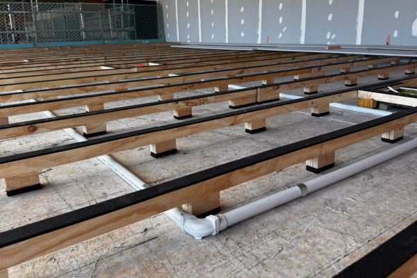Exposed CLT and Carefully Concealed Services for New Fisher & Paykel HQ
