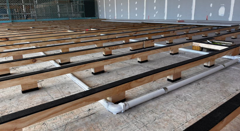 Exposed CLT and Carefully Concealed Services for New Fisher & Paykel HQ