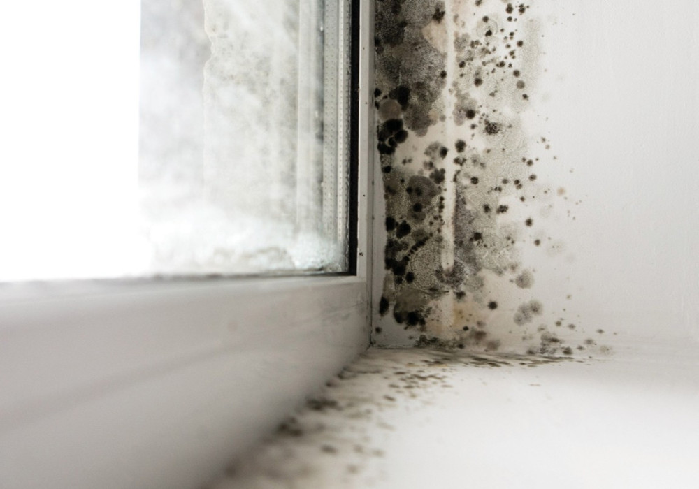 Beyond H1: A System Approach to Indoor Air Quality