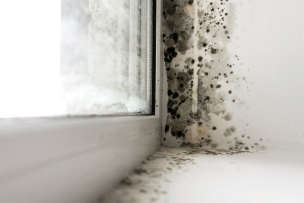 Beyond H1: A System Approach to Indoor Air Quality
