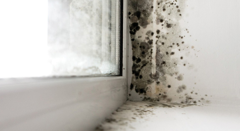 Beyond H1: A System Approach to Indoor Air Quality