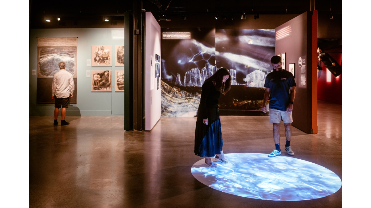 Resene Installation Tone-e Award Winner - Into Ocean & Ice: Five Artists Reimagine Shackleton’s Antarctic by The Letter Q. Featuring Resene SpaceCote Flat in (from left) Gothic, Poet, Chocolate Lounge and Sebedee.  <br />
Photographer: David St George.