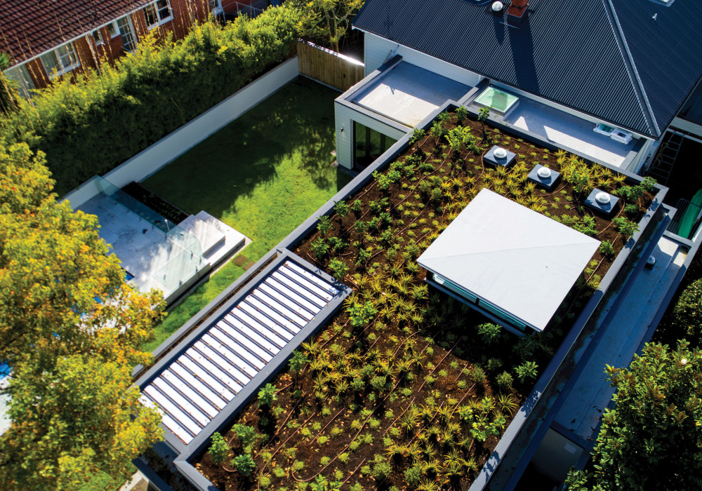New Zealand's Proven Green Roof System for Smarter Buildings
