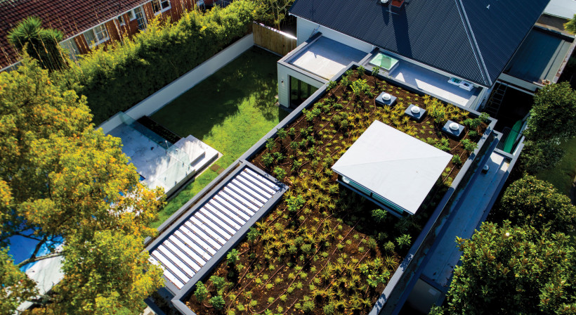 New Zealand's Proven Green Roof System for Smarter Buildings