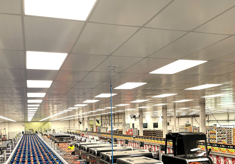 Prefinished Ceiling Tiles Bring a Fresh Look and Low Maintenance for a Hawkes Bay Packhouse