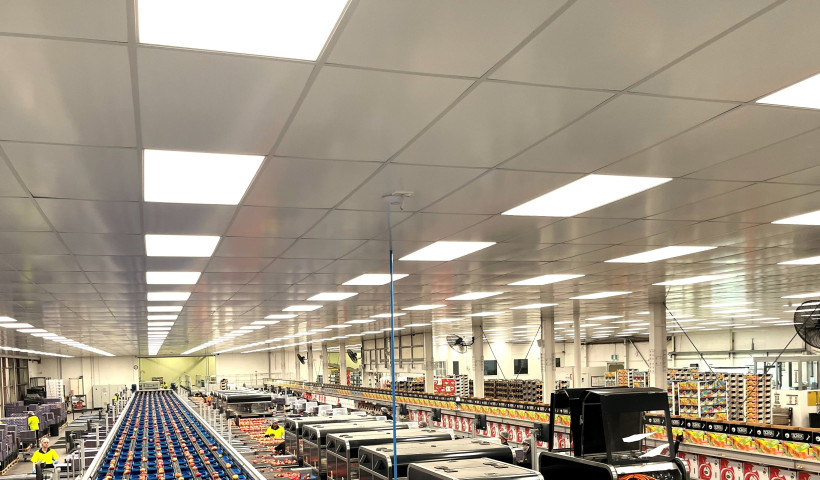 Prefinished Ceiling Tiles Bring a Fresh Look and Low Maintenance for a Hawkes Bay Packhouse