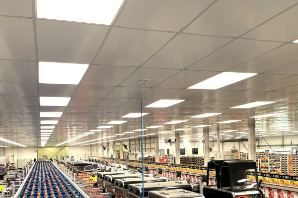 Prefinished Ceiling Tiles Bring a Fresh Look and Low Maintenance for a Hawkes Bay Packhouse