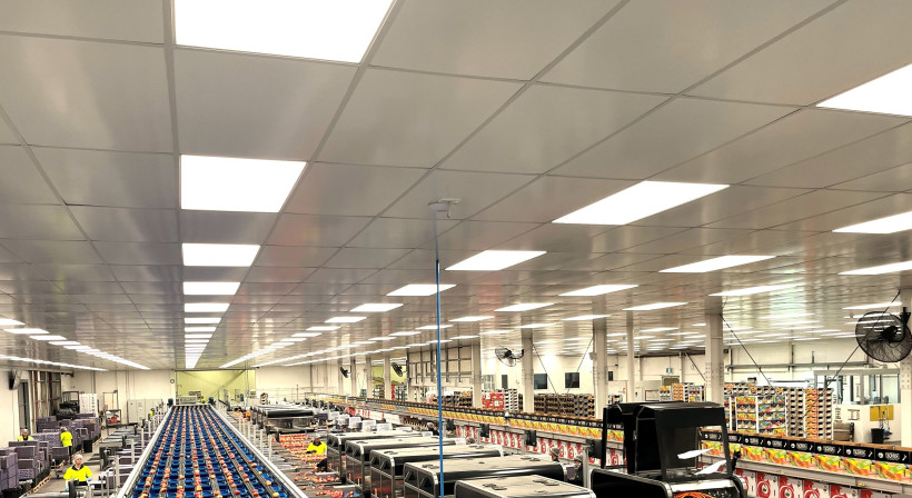 Prefinished Ceiling Tiles Bring a Fresh Look and Low Maintenance for a Hawkes Bay Packhouse
