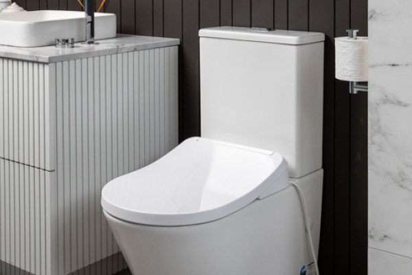 New Integrated Bidet Seat with Built-In Backflow Protection