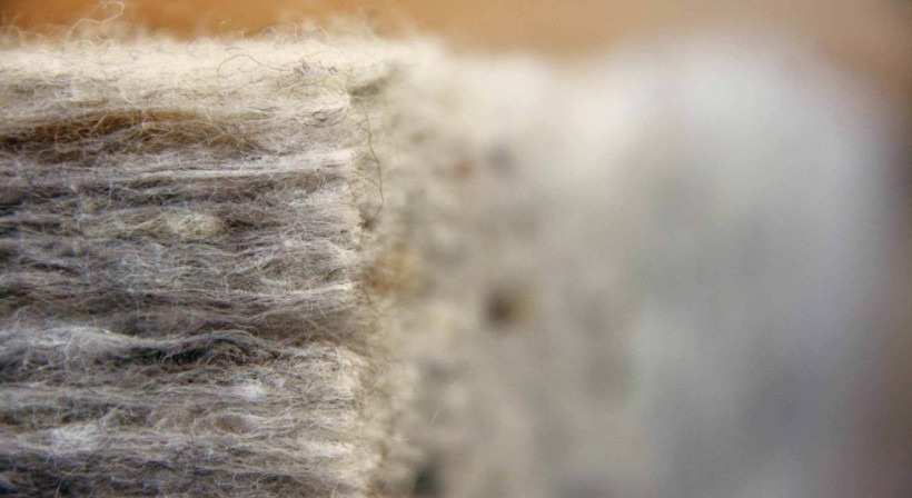Wool’s Carbon-Sinking Properties Ideal for Low-Carbon Buildings