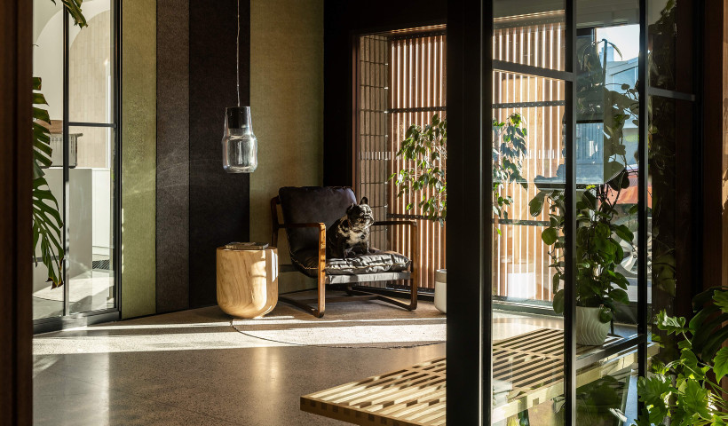 What’s On the Walls Matters: Material Choices for Higher-Density Living