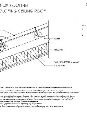 RI-RRR000B-TYPICAL-RAFTER-SLOPING-CEILING-ROOF-pdf.jpg