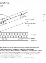 RI-RRTR000A-TYPICAL-TRUSS-ROOF-pdf.jpg