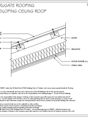 RI-RCR000B-TYPICAL-RAFTER-SLOPING-CEILING-ROOF-pdf.jpg