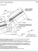 RI-EE50R003BS-TYPICAL-CHANGE-IN-PITCH-pdf.jpg