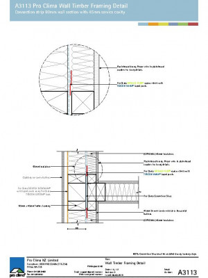 A3113-Wall-Timber-Framing-Detail-pdf.jpg