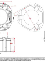 CIFW100 pdf