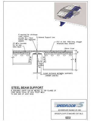 SD2-pdf.jpg