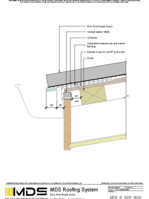 mds r asr 002b pdf