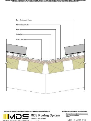 mds r asr 013 pdf