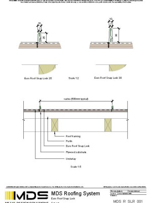 mds r slr set pdf