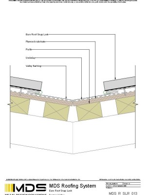 mds r slr 013 pdf