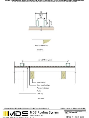 mds r rcr 001 pdf