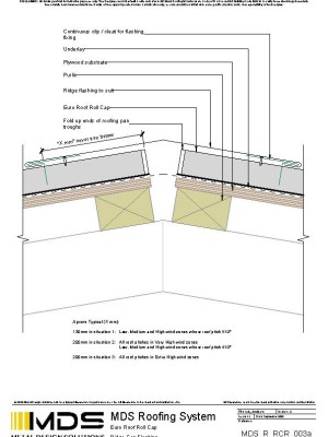 mds r rcr 003a pdf