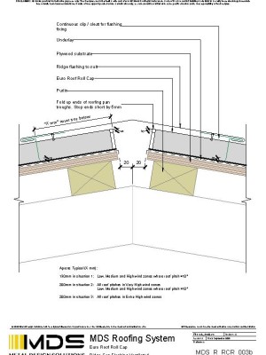 mds r rcr 003b pdf