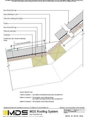 mds r rcr 004 pdf