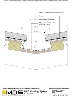 mds r rcr 009 pdf