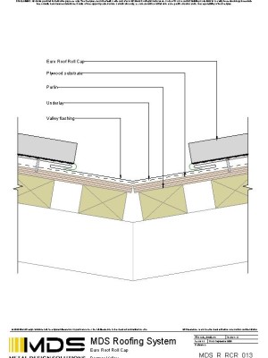 mds r rcr 013 pdf