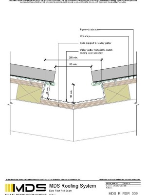 mds r rsr 009 pdf