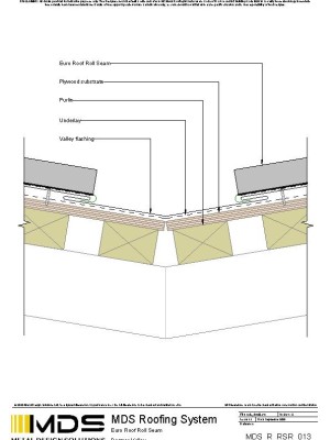 mds r rsr 013 pdf