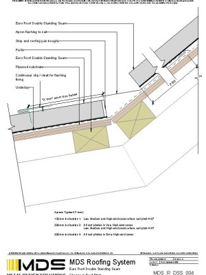 mds r dss 004 pdf