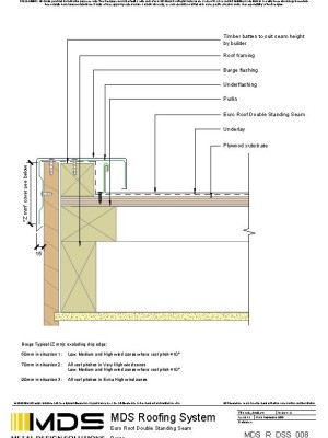 mds r dss 008 pdf