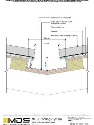 mds r dss 009 pdf