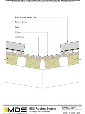 mds r dss 013 pdf