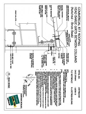 RI-CRT7R004B-pdf.jpg